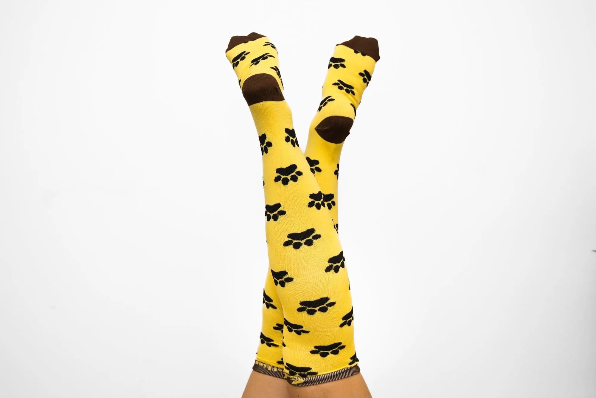 Softies Women's Fashion Dog Paws Nursing Socks DPS01 - City Workwear